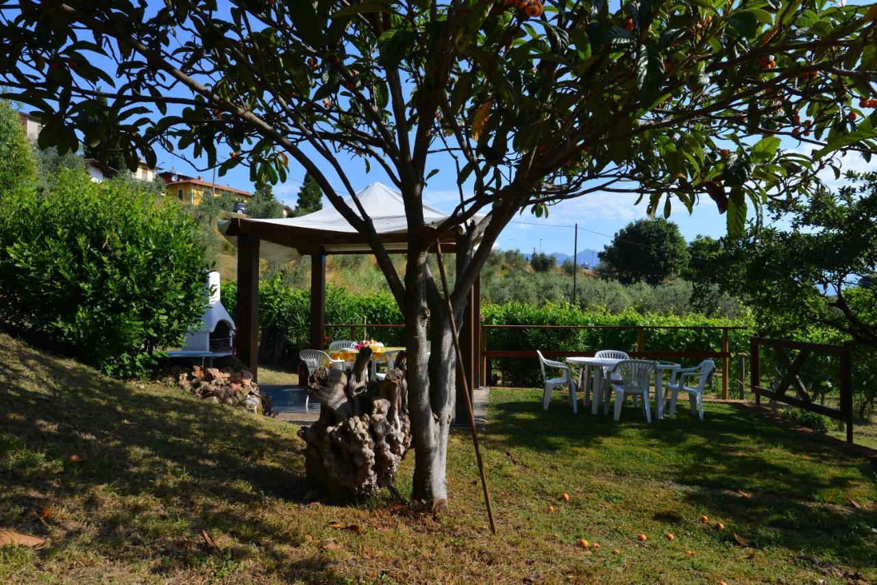 Antiche Mura Casa Vacanze Puegnago del Garda Esterno foto