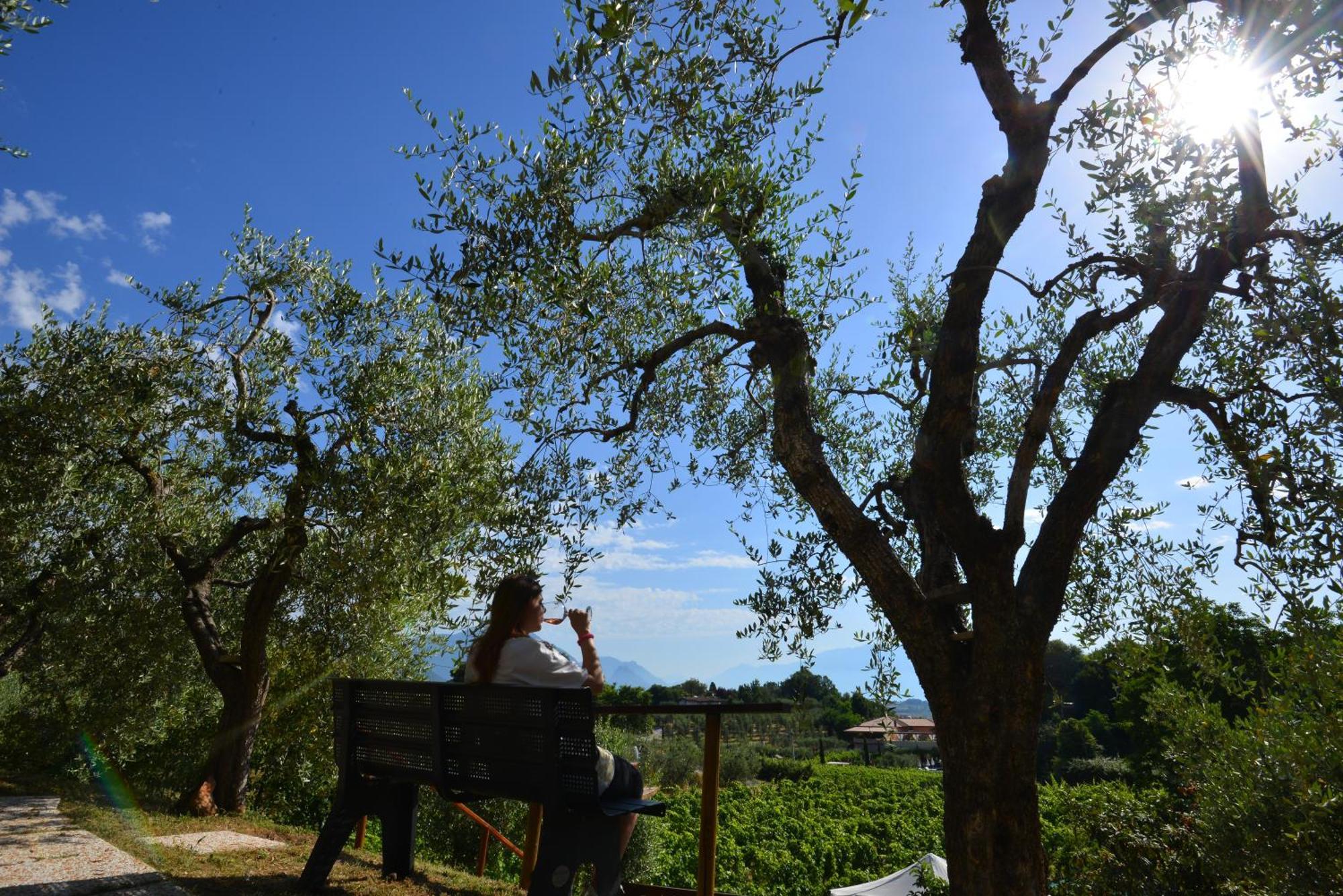 Antiche Mura Casa Vacanze Puegnago del Garda Esterno foto